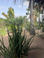 Jardin - la Palmeraie de Ngor - Hotel Sénégal