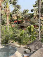 Lodge - la Palmeraie de Ngor - Hotel Sénégal