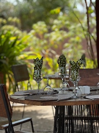 la Palmeraie de Ngor - Hotel Sénégal