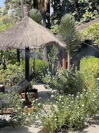 la Palmeraie de Ngor - Hotel Sénégal