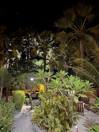 la Palmeraie de Ngor - Hotel Sénégal