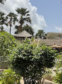 la Palmeraie de Ngor - Hotel Sénégal