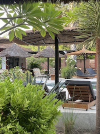 la Palmeraie de Ngor - Hotel Sénégal