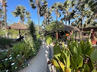 la Palmeraie de Ngor - Hotel Sénégal