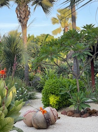 la Palmeraie de Ngor - Hotel Sénégal