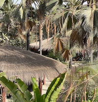 la Palmeraie de Ngor - Hotel Sénégal