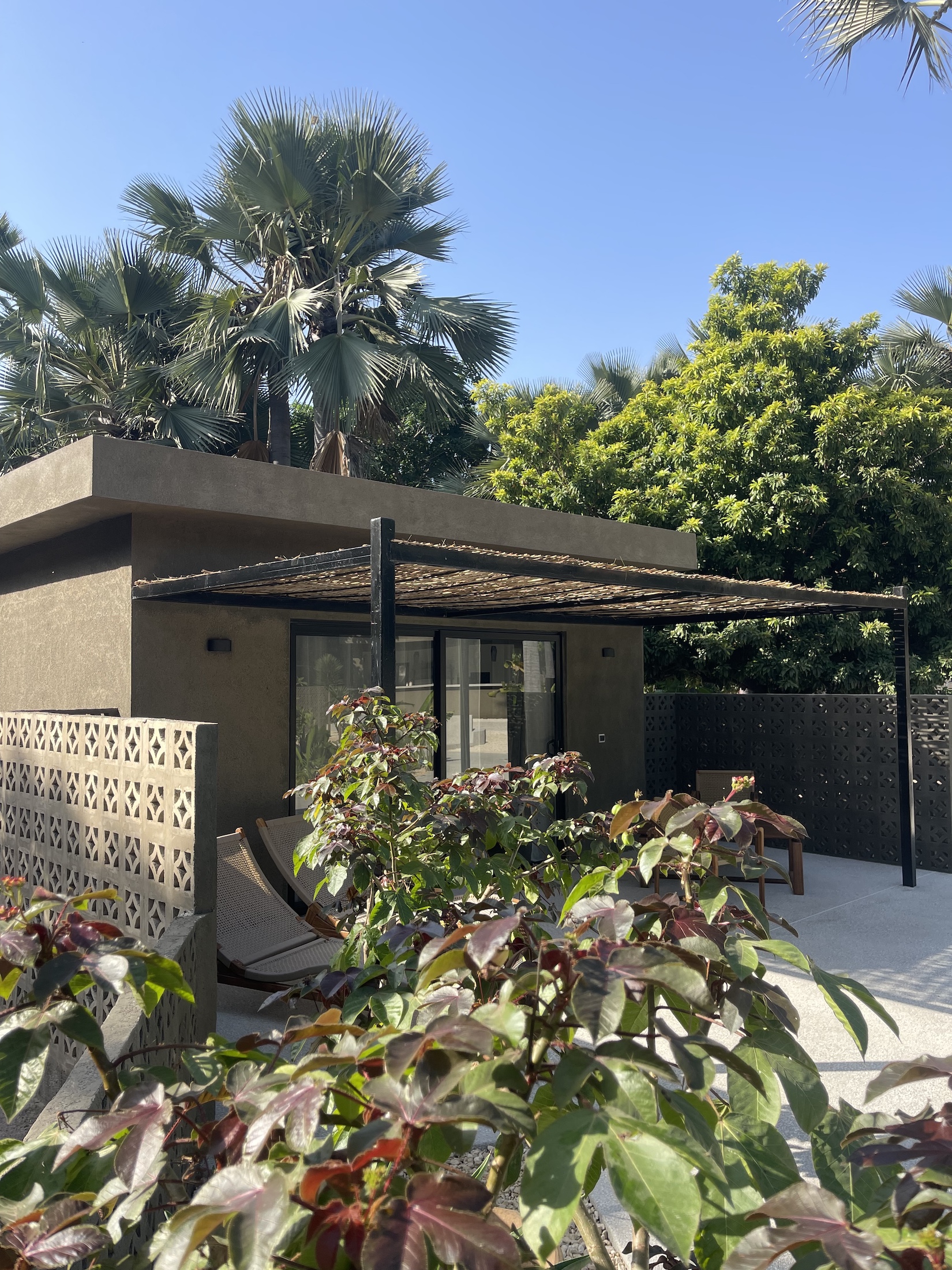 Coté Jarin - lodge la Palmeraie de Ngor - Sénégal