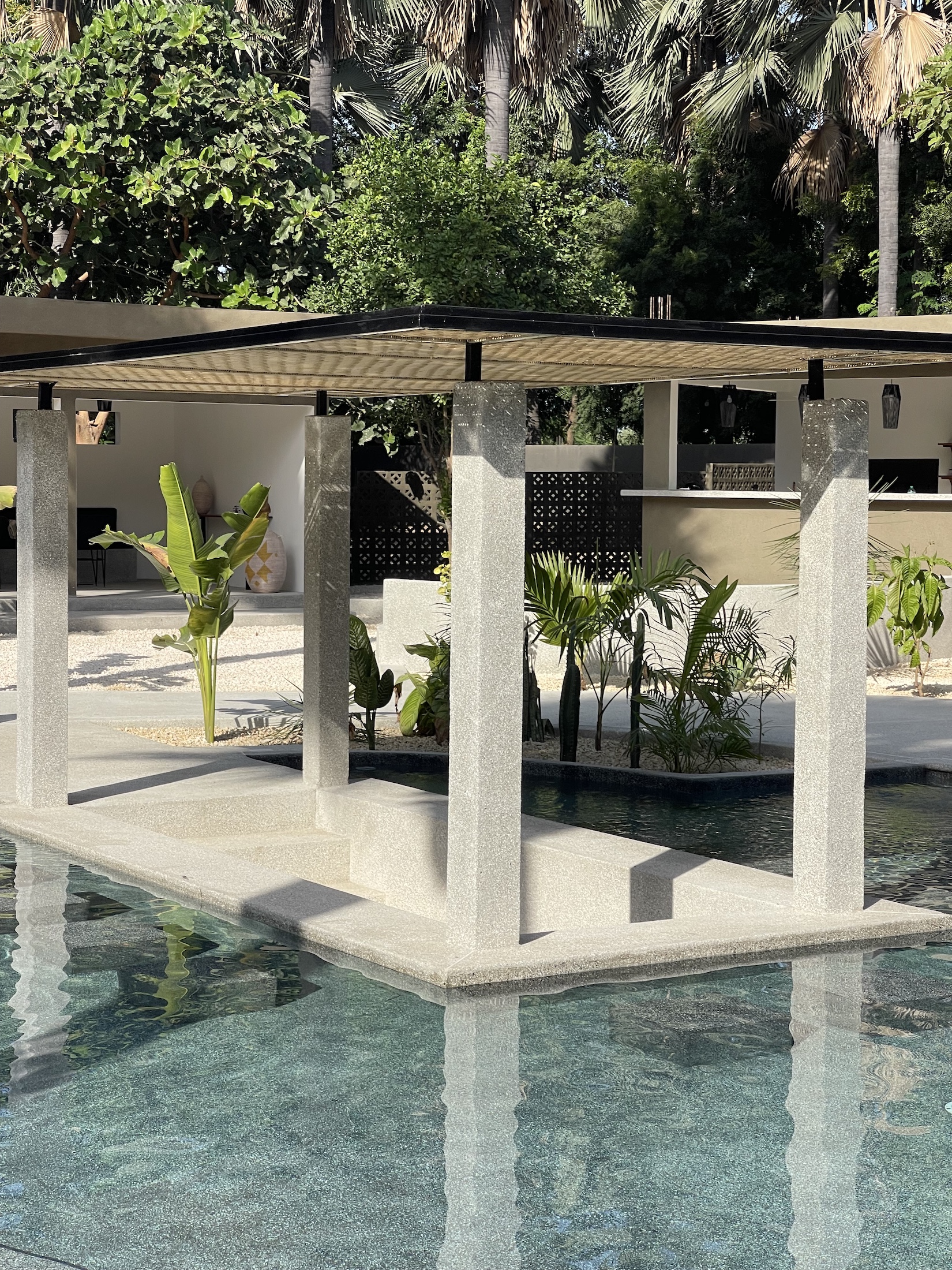 Coté Jarin - lodge la Palmeraie de Ngor - Sénégal